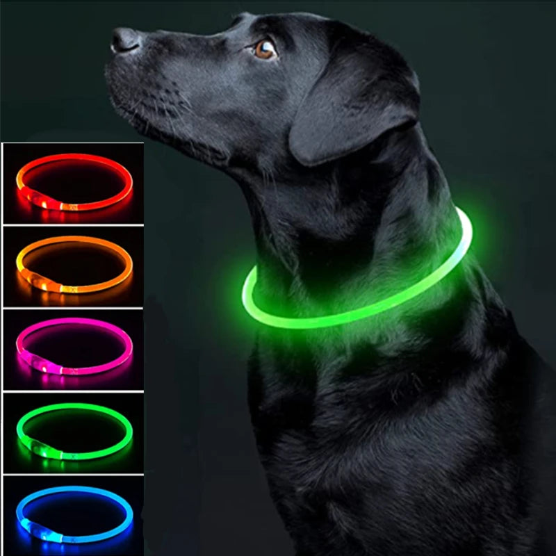 Luminous LED Pet Collar 