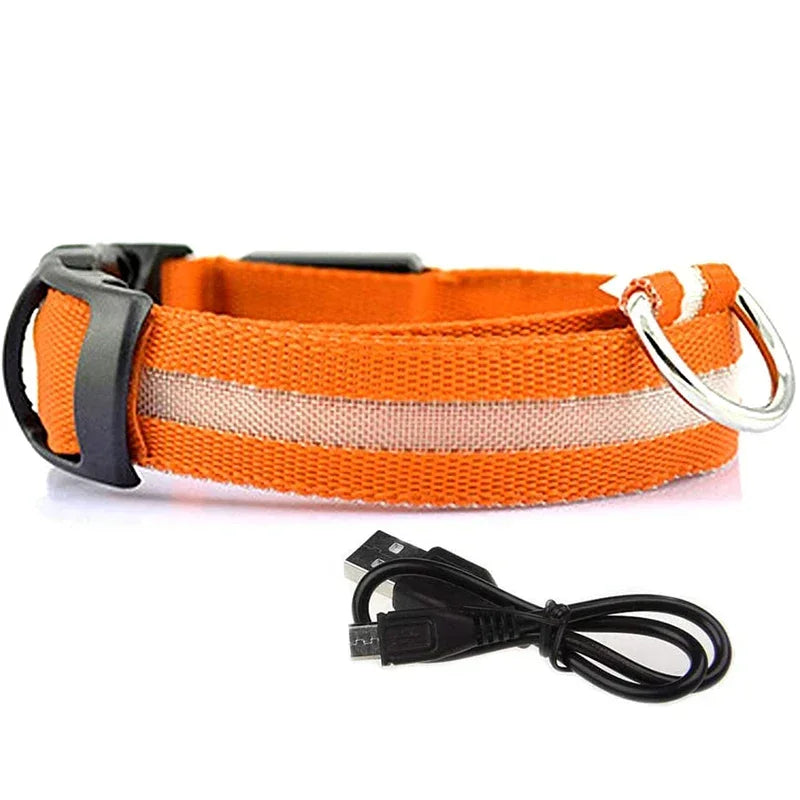 PetLuz LED - LED Luminous Collar 