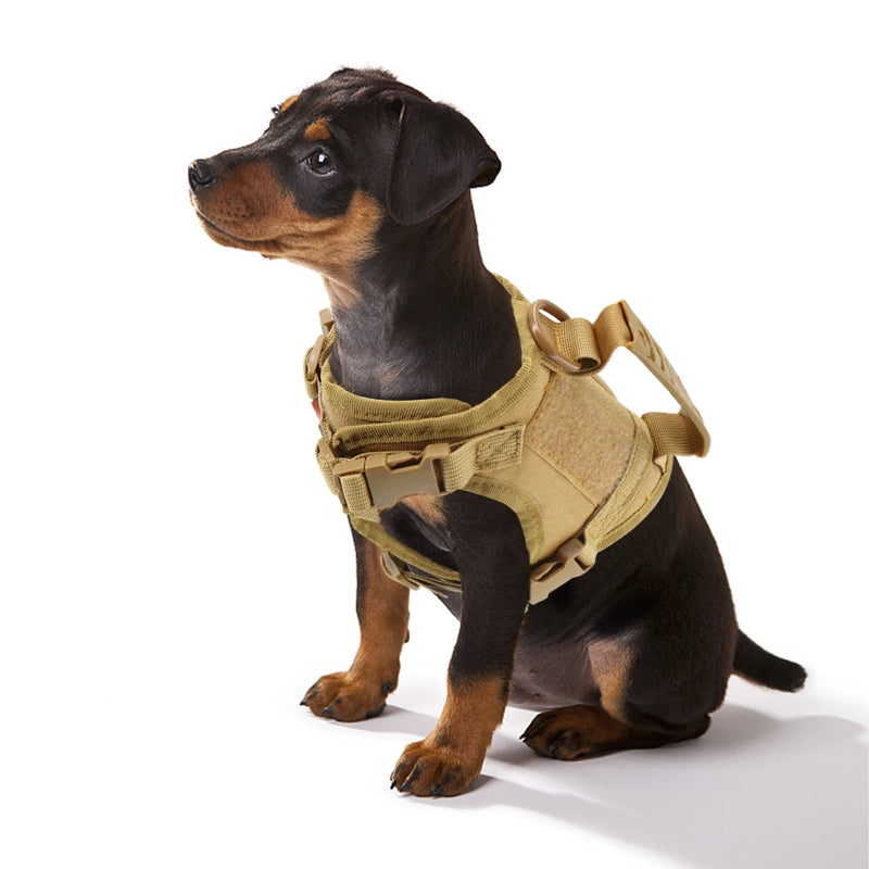 Peitoral Tático Premium K9