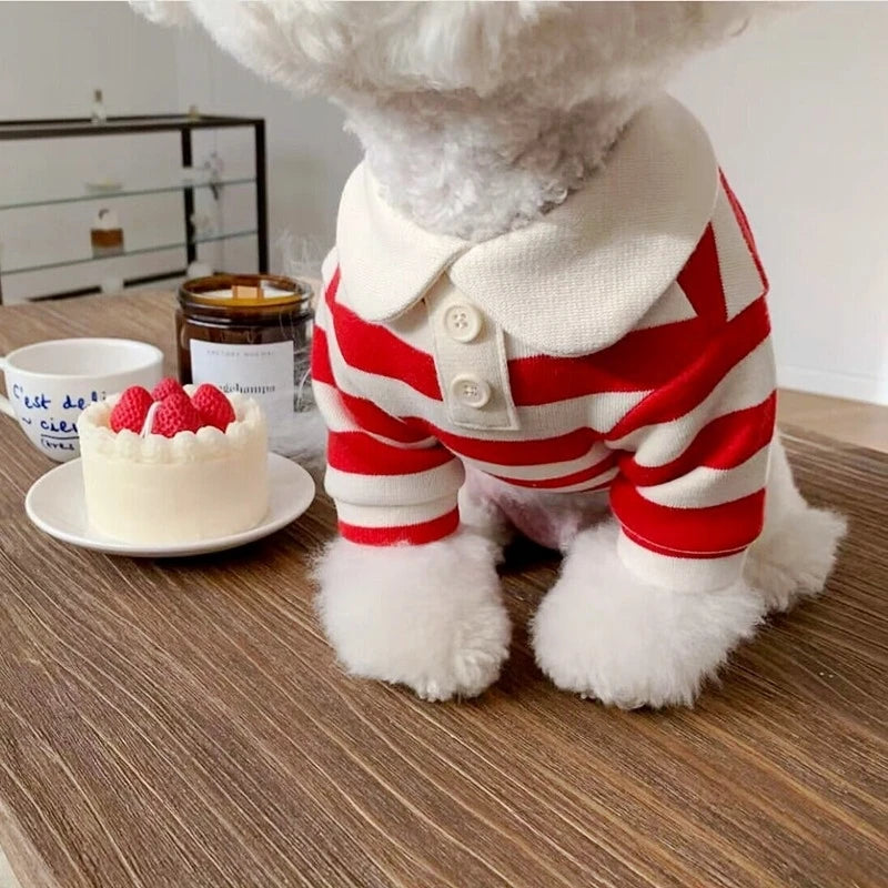 Camisa Polo de Verão para Cães e Gatos