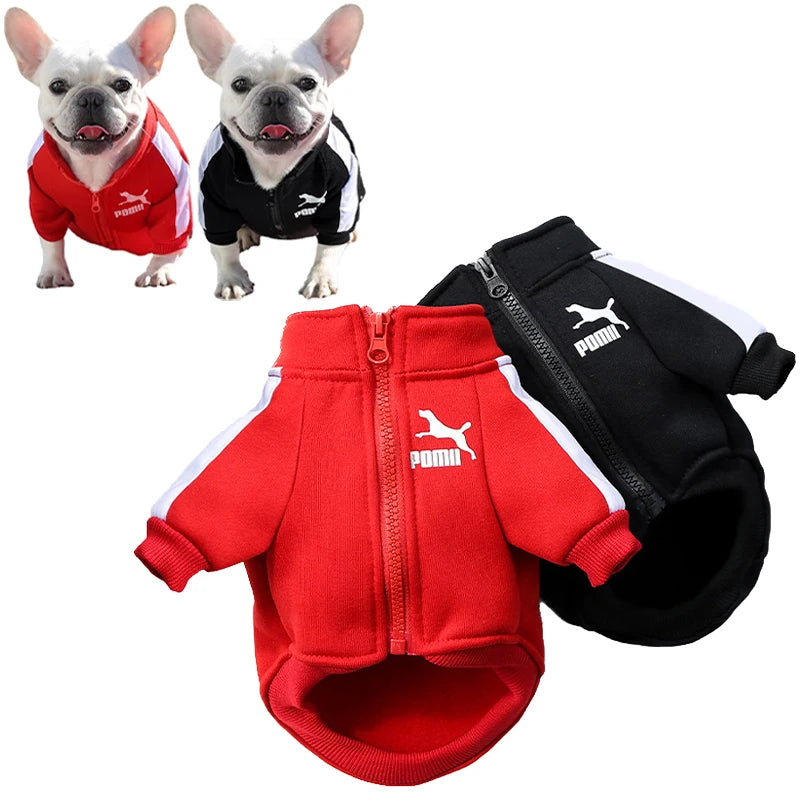 Jaqueta de Inverno para Cães