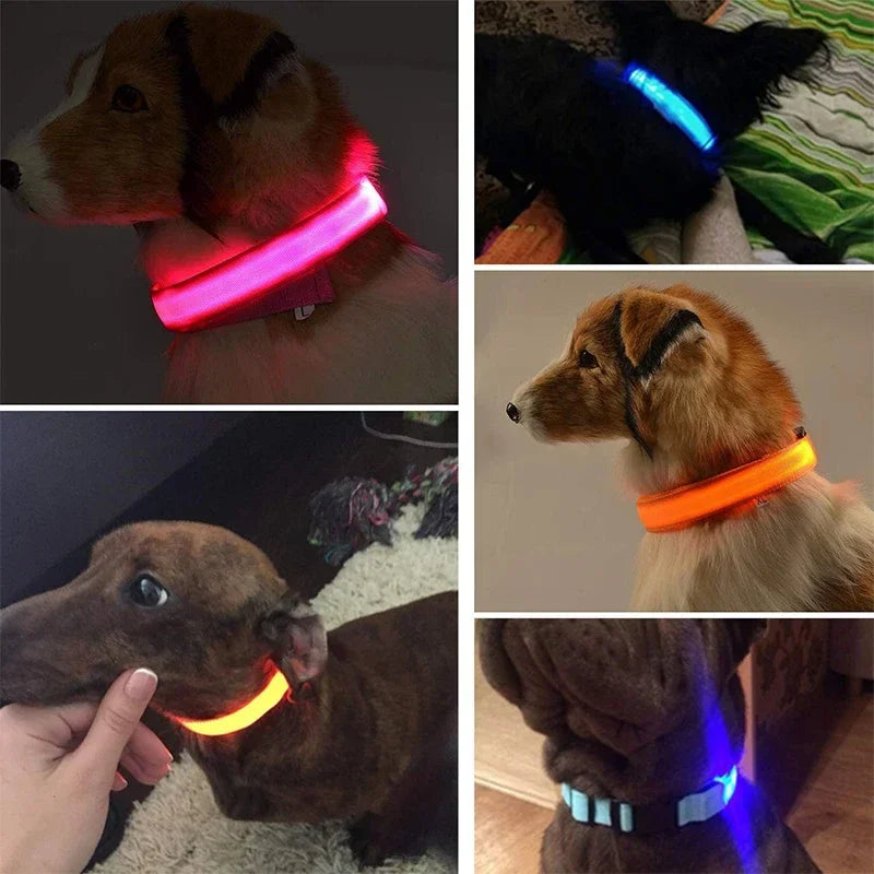 PetLuz LED - LED Luminous Collar 