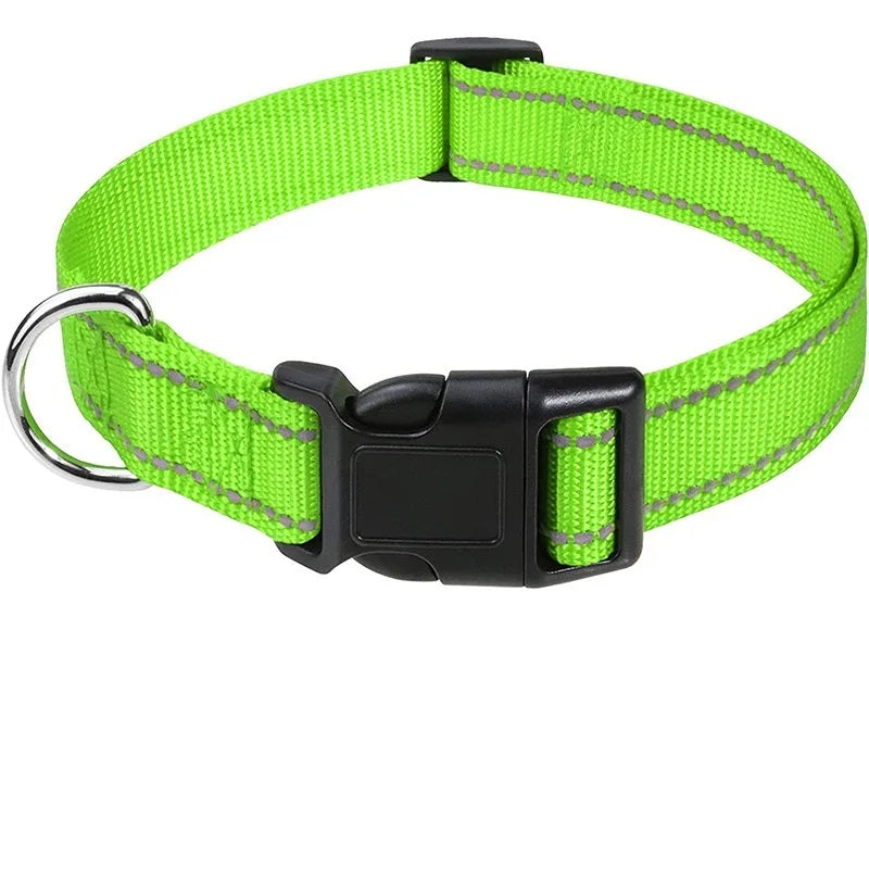 Coleira para Pets Elegantes