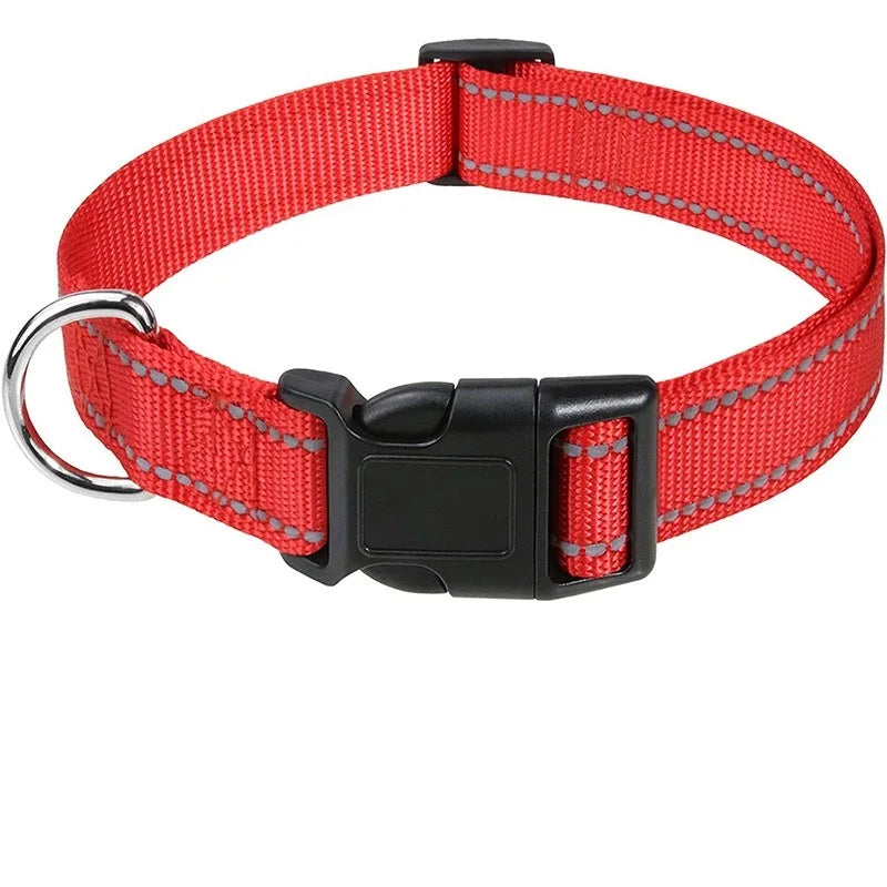 Coleira para Pets Elegantes