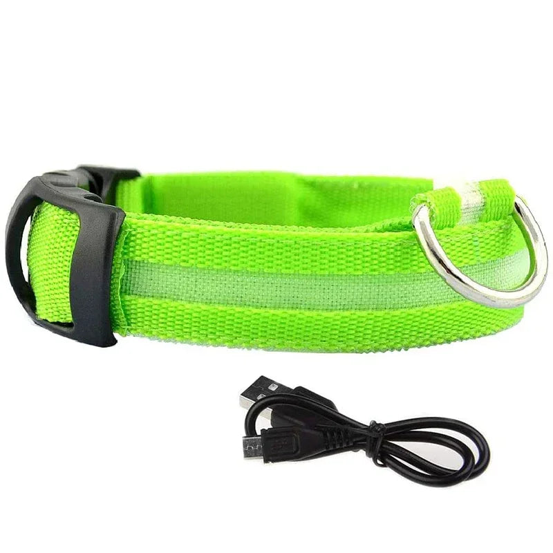 PetLuz LED - LED Luminous Collar 