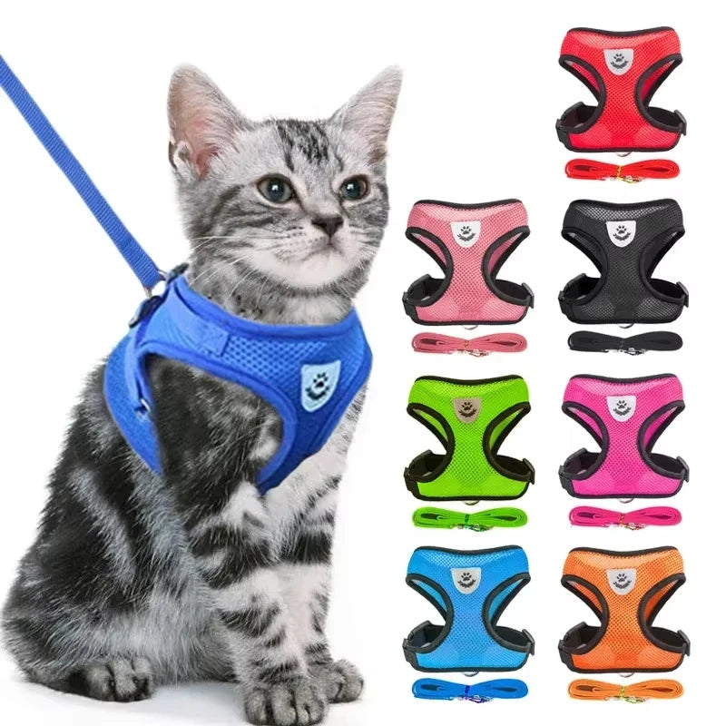 Peitoral Conforto com Guia de Chumbo - Caês e Gatos