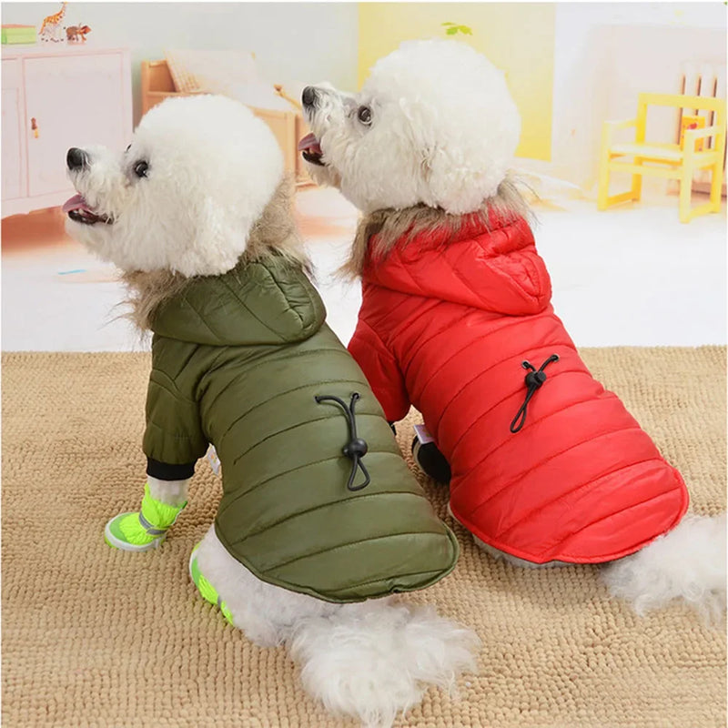 Jaqueta Pet – Conforto e Proteção Contra o Frio e a Chuva