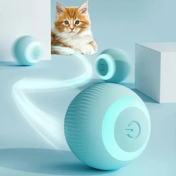 Bola Inteligente para Gatos e Cães