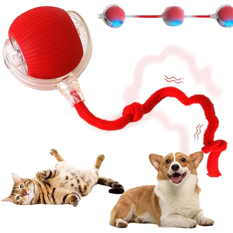 Bola Inteligente 3 em 1