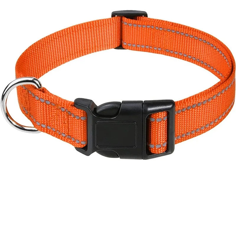Coleira para Pets Elegantes