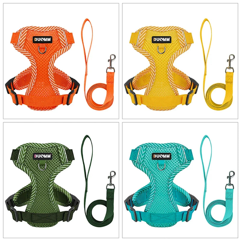 Conjunto Peitoral + Coleira Respirável para Cães e Gatos
