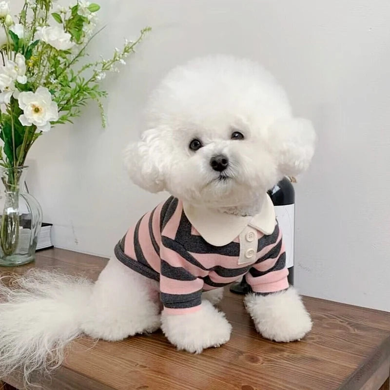 Camisa Polo de Verão para Cães e Gatos