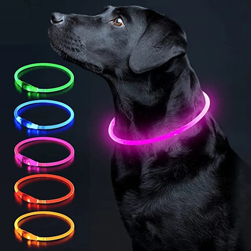 Luminous LED Pet Collar 