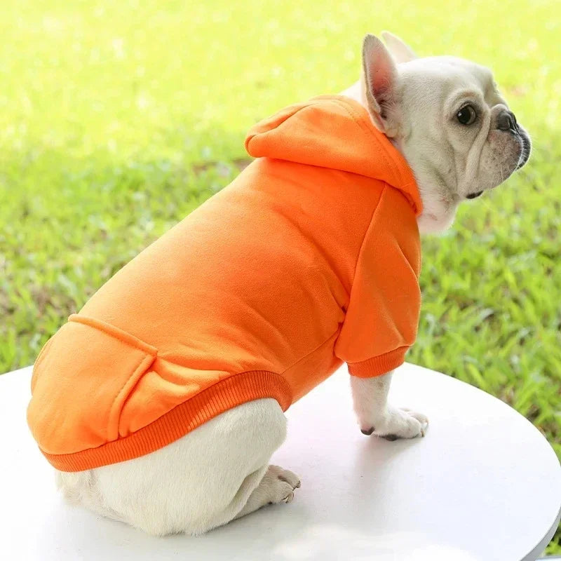 Moletom Quentinho com Capuz para Cães