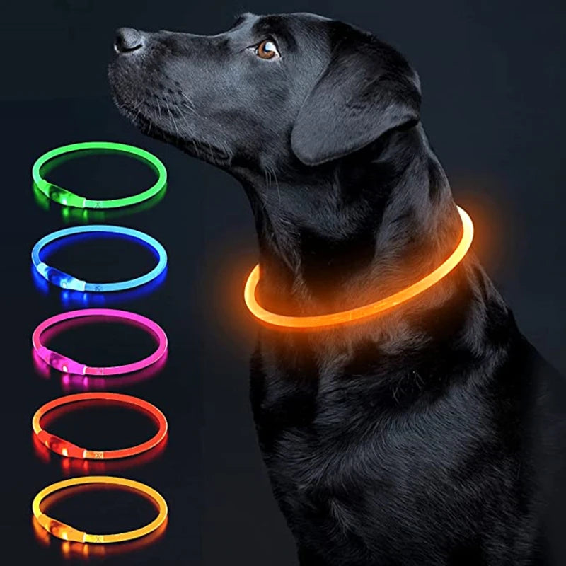 Luminous LED Pet Collar 