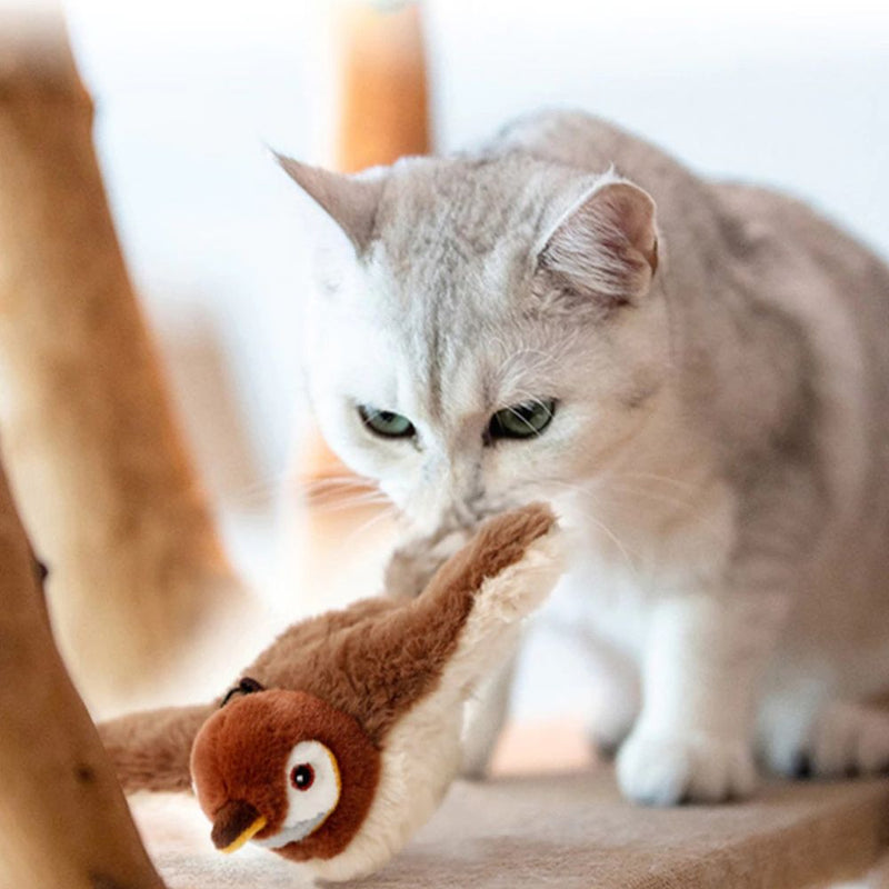 Pássaros para Caes e Gatos