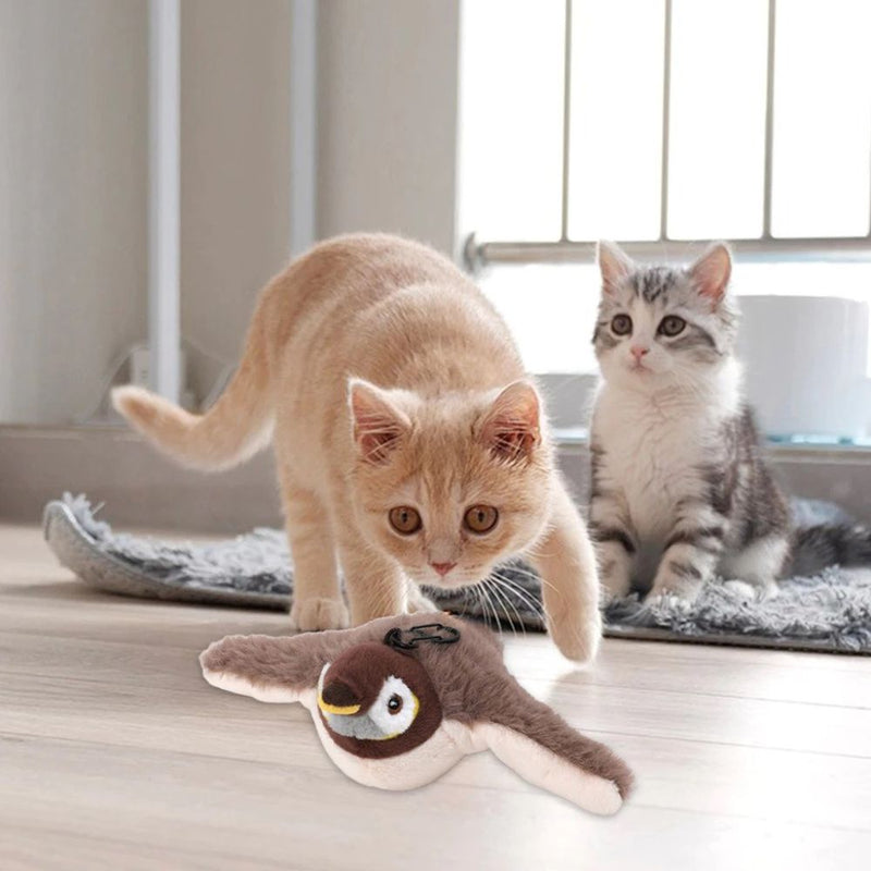 Pássaros para Caes e Gatos